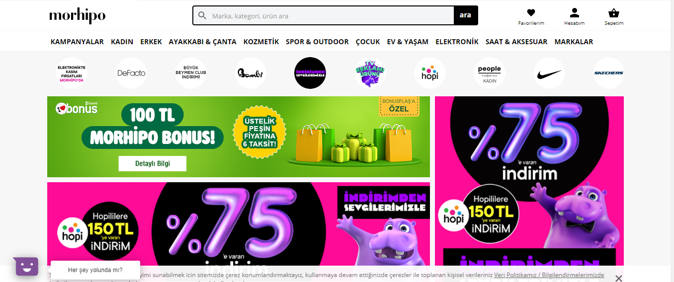 web site görüntüsü