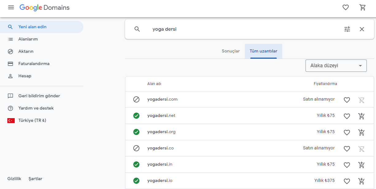 google domains tüm uzantılar