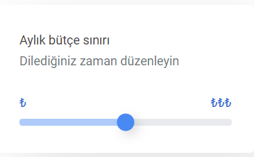 Google Ads Reklam Bütçesi