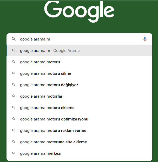 Google Arama Sorgusu