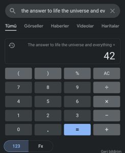 Google Evrenin Cevabı