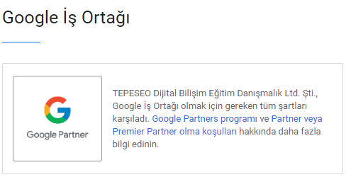 Google Partners TEPESEO Dijital Pazarlama
