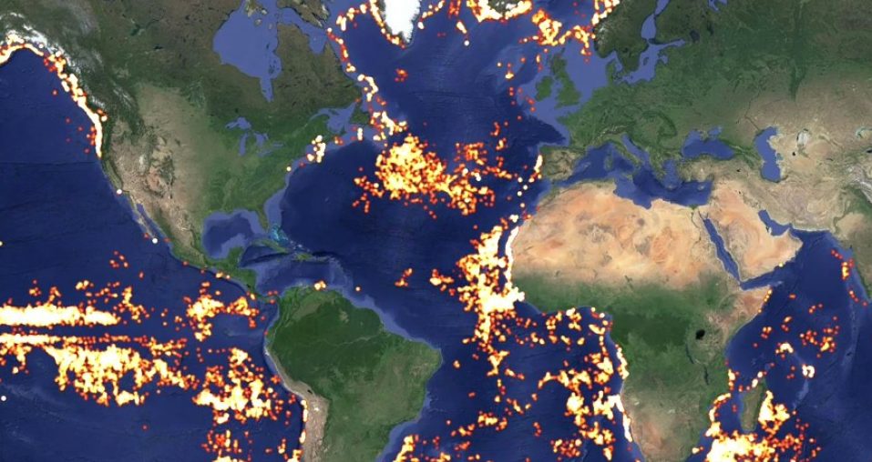 Google Global Fishing Watch