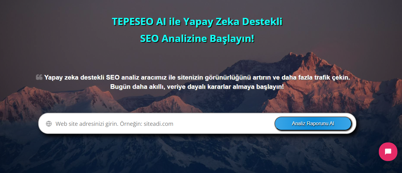 Web Site Analizi