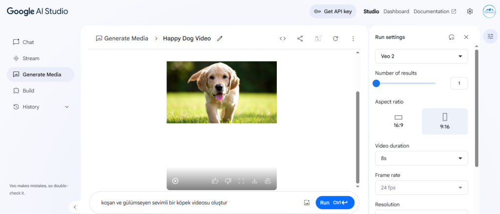 Google Veo Video Oluşturma