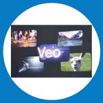 Google VEO Yapay Zeka