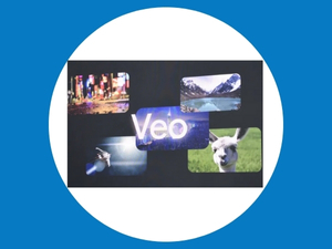 Google VEO Yapay Zeka